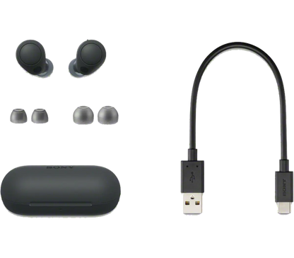 Sony WF-C700N Noise Canceling Truly Wireless Earbuds - Black