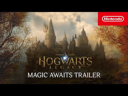 Nintendo Switch Hogwarts Legacy (ES) Video Game